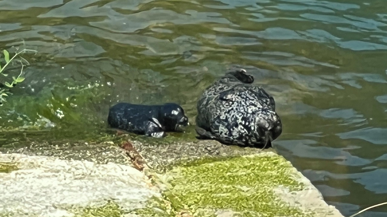 Photo of Others in Vancouver
