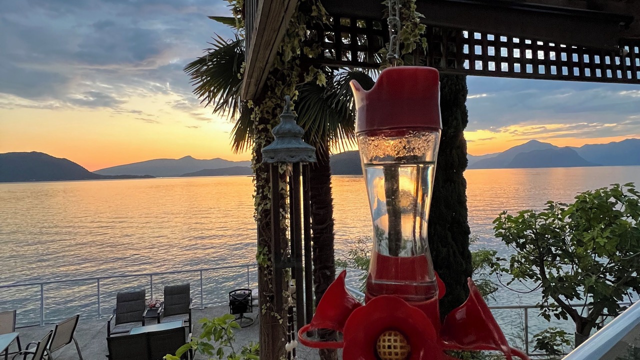 Photo of Patio Balcony in Vancouver