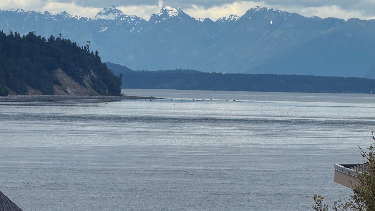 Photo of Others in Campbell River