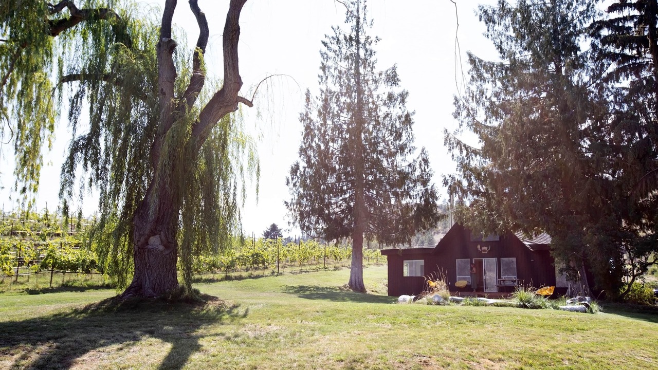 Photo of Others in Okanagan-Similkameen