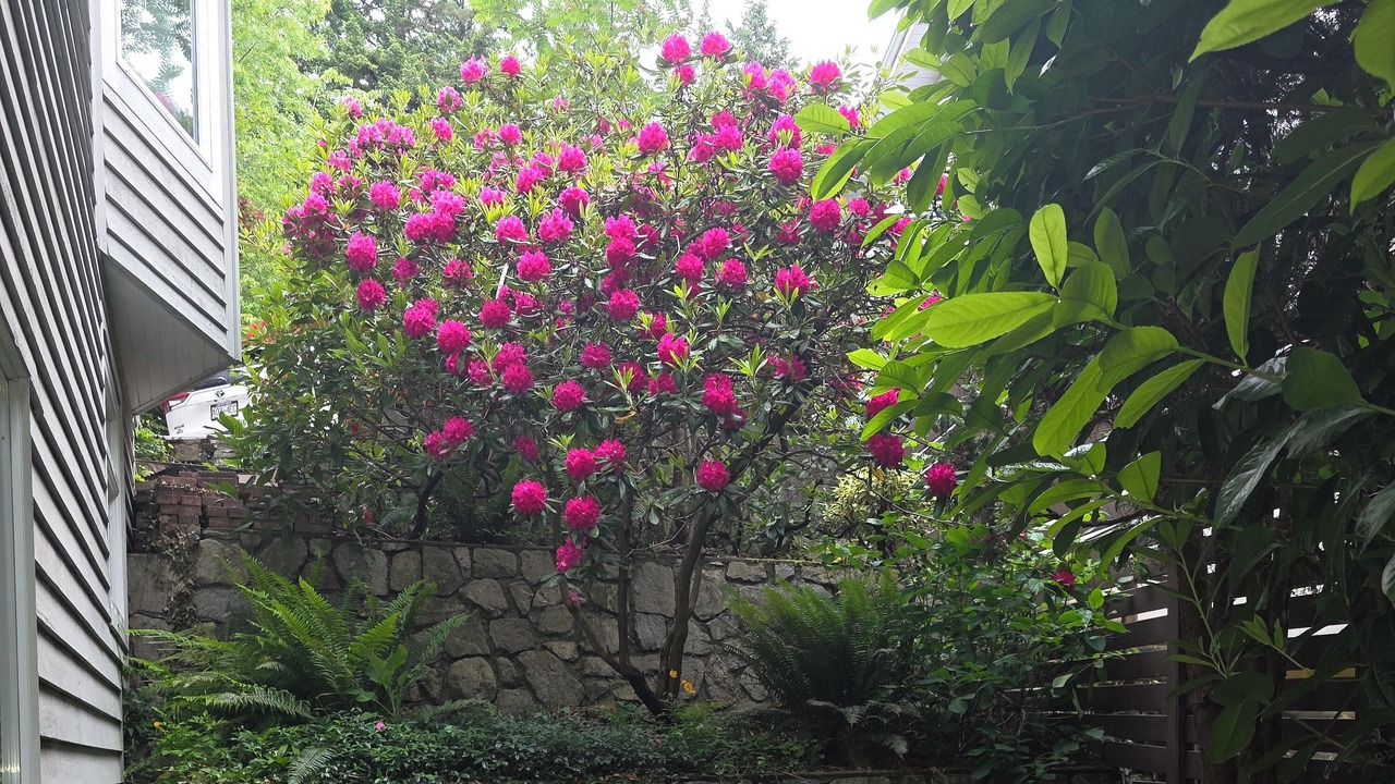 Photo of Outdoor in Upper Lonsdale