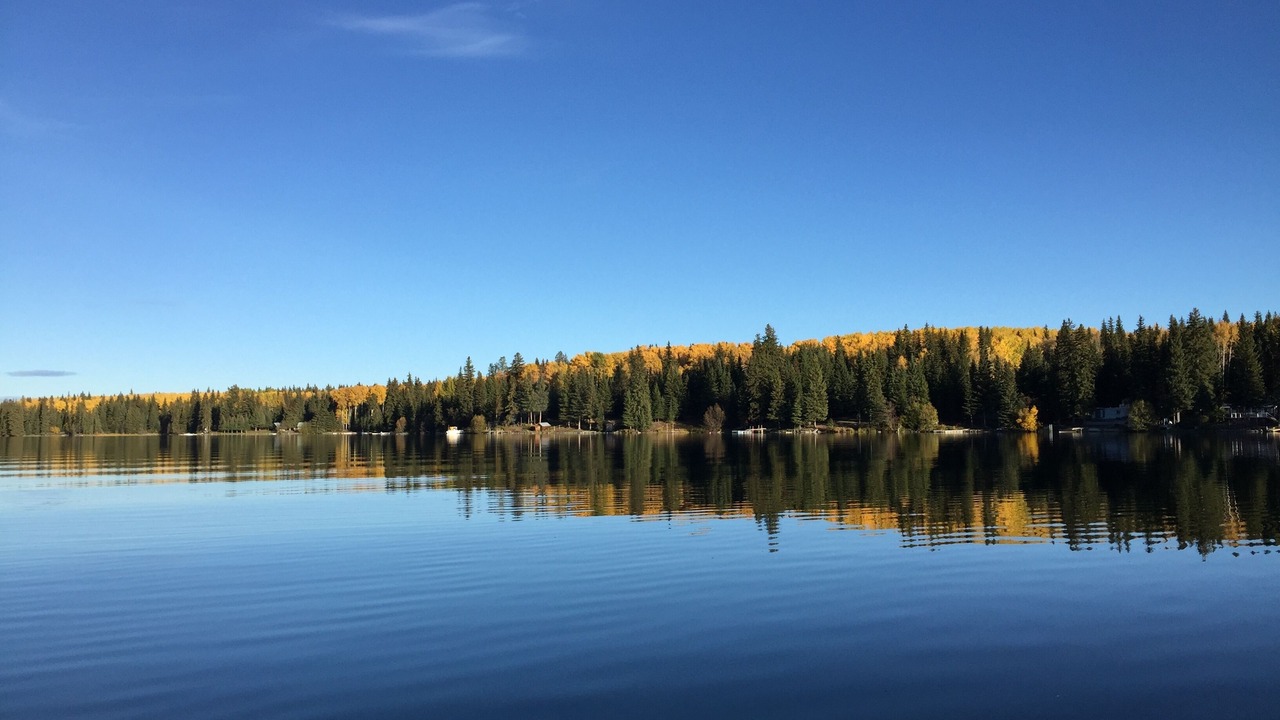 Photo of Others in Sheridan Lake