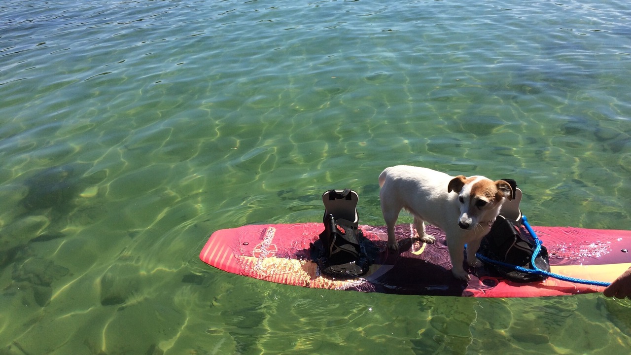 Photo of Others in Sheridan Lake