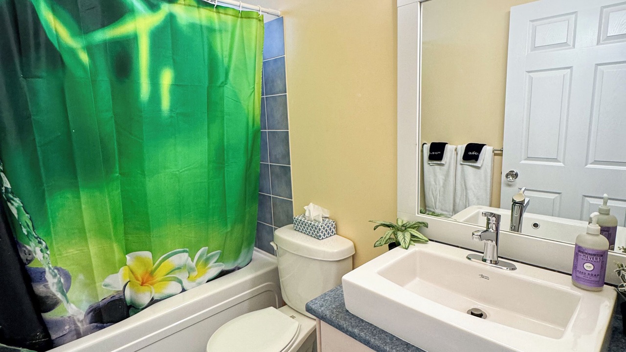 Photo of Bathroom in Black Mountain