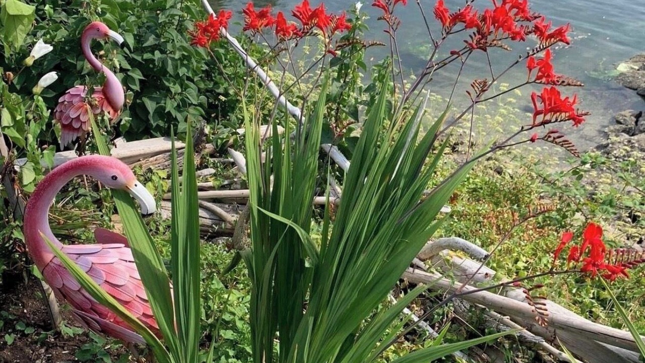 Photo of Outdoor in North Oyster