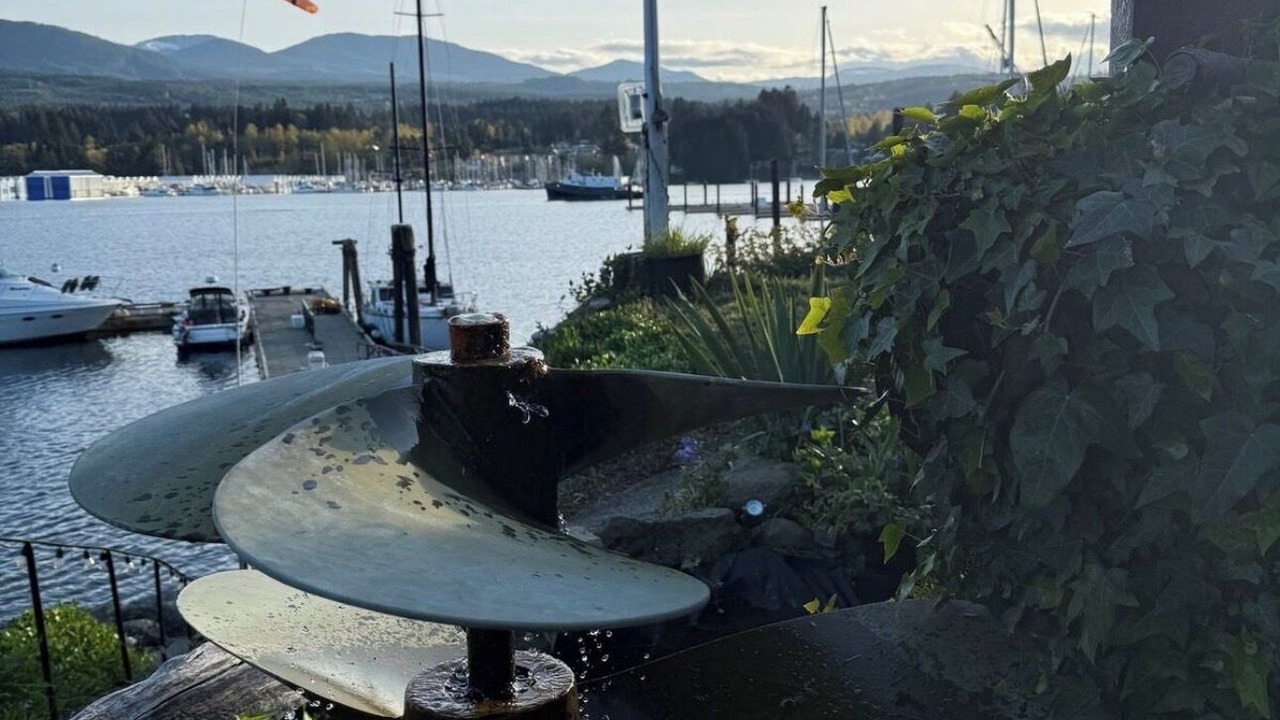 Photo of Others in North Oyster