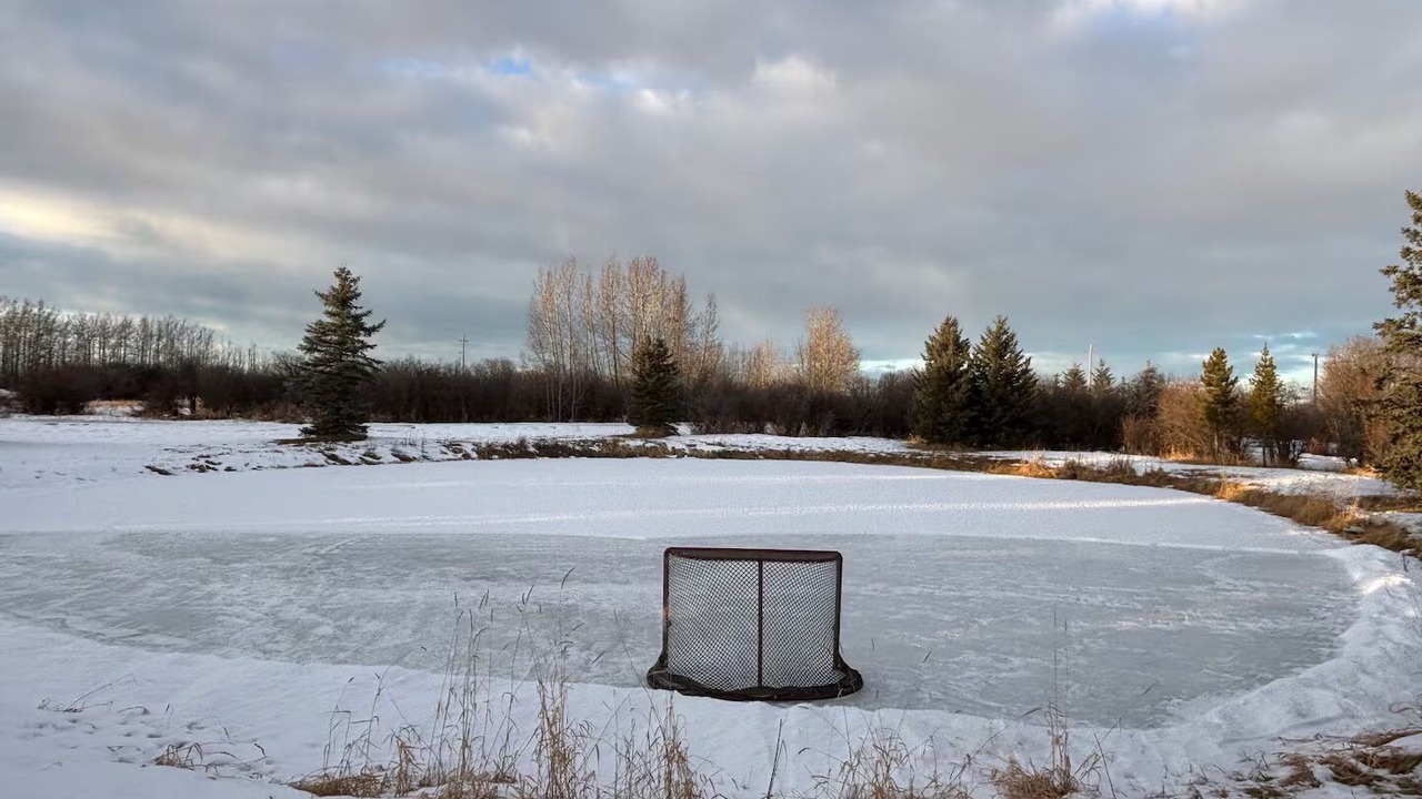 Photo of Others in Calgary