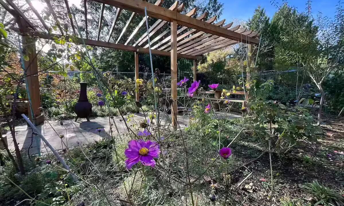 Photo of Outdoor in Saanich East