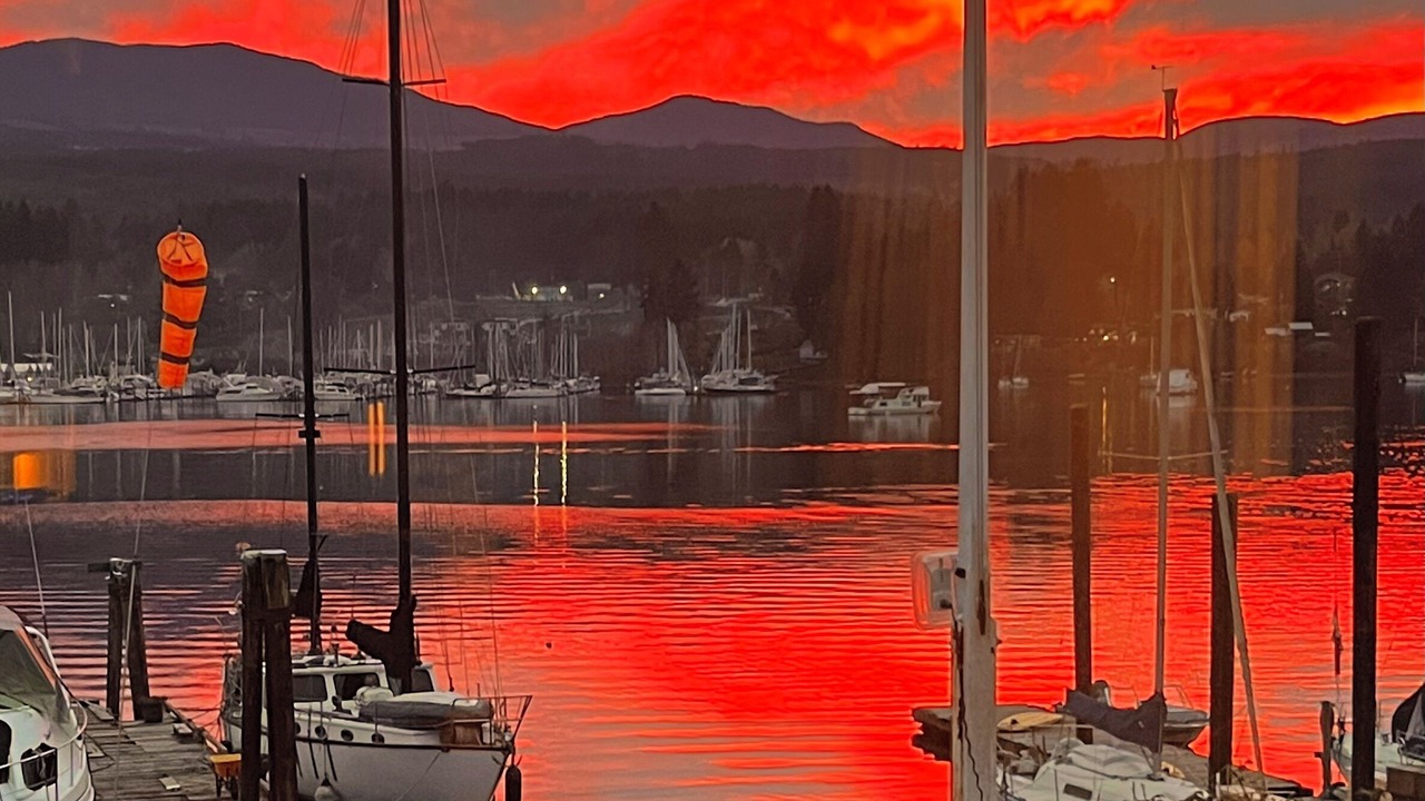 Photo of Others in North Oyster
