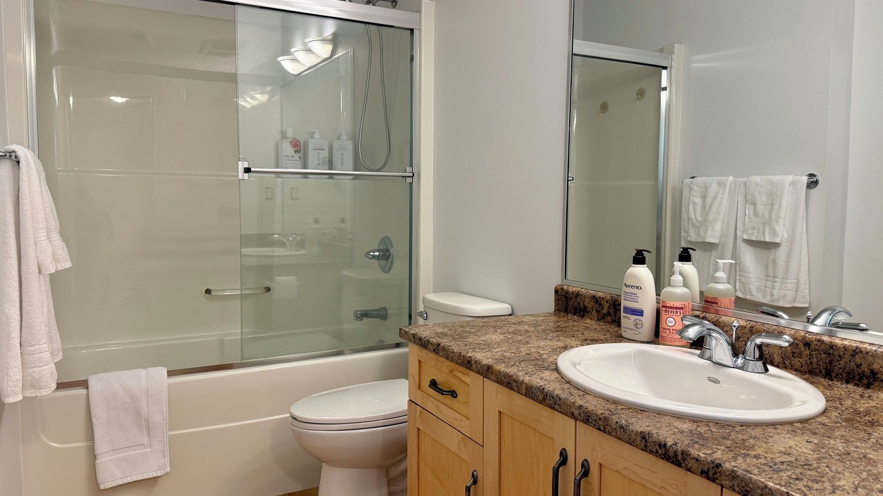 Photo of Bathroom in Bear Mountain Resort