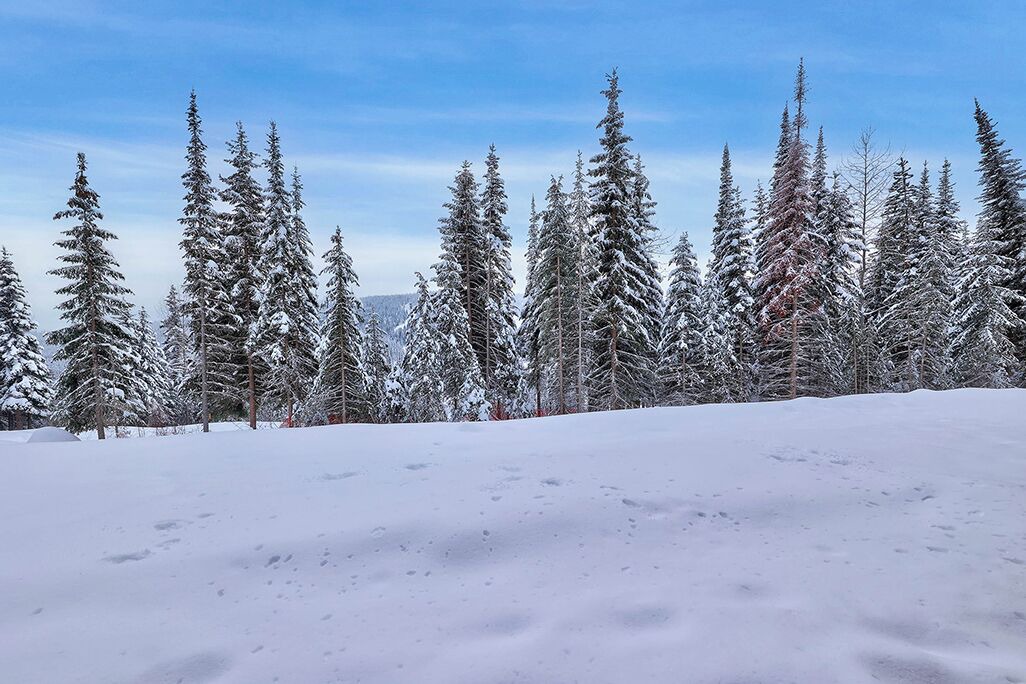 Photo of Others in Sun Peaks