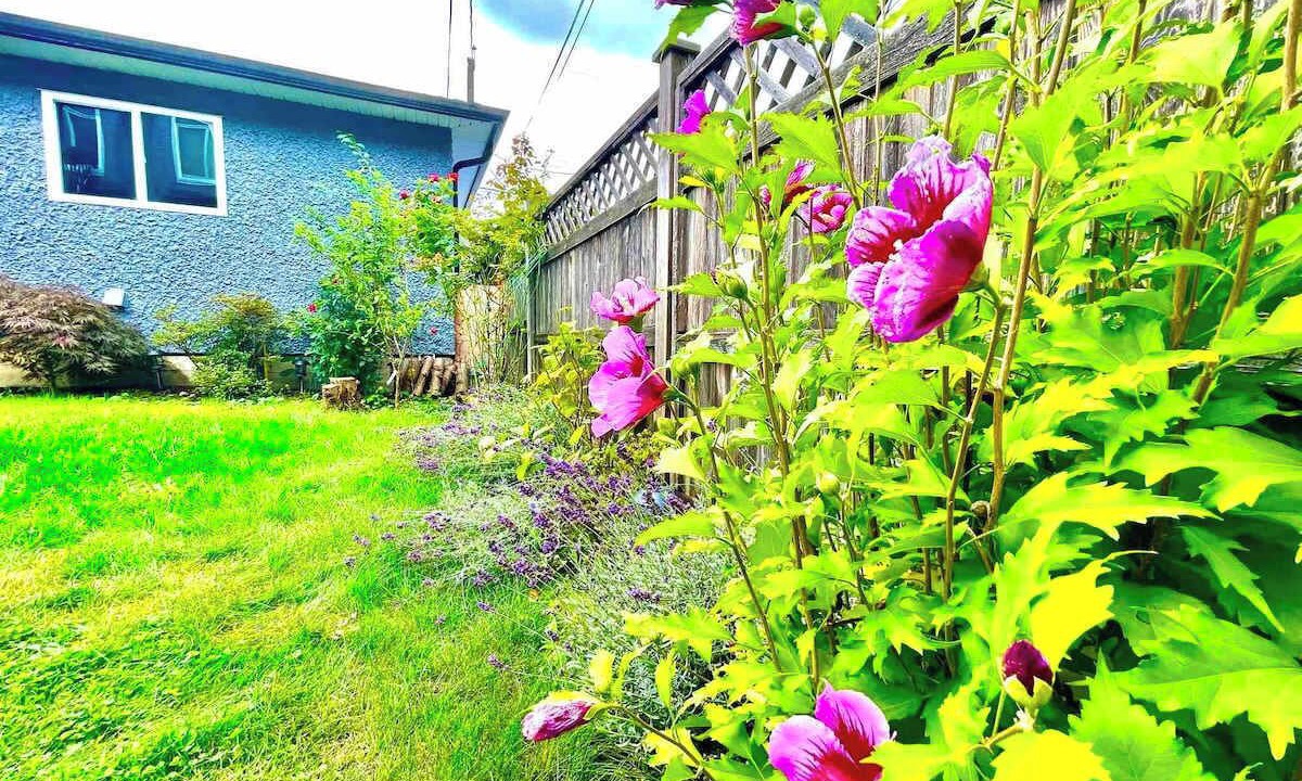 Photo of Outdoor in Renfrew-Collingwood