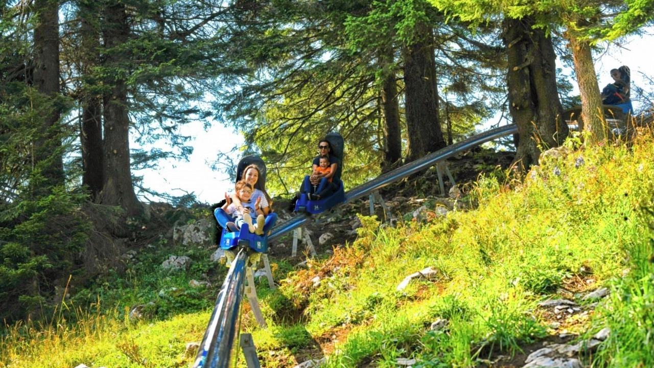 Photo of Others in Panorama