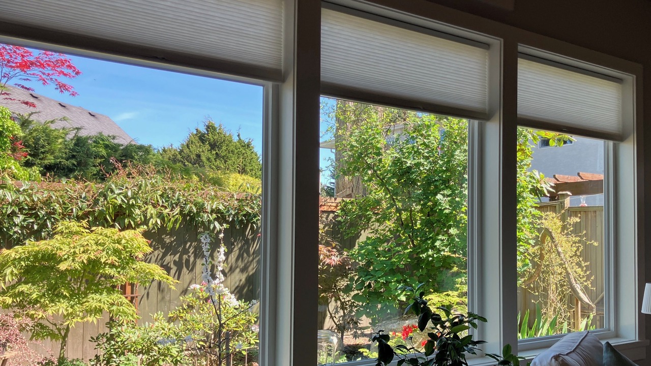 Photo of Outdoor in Sidney