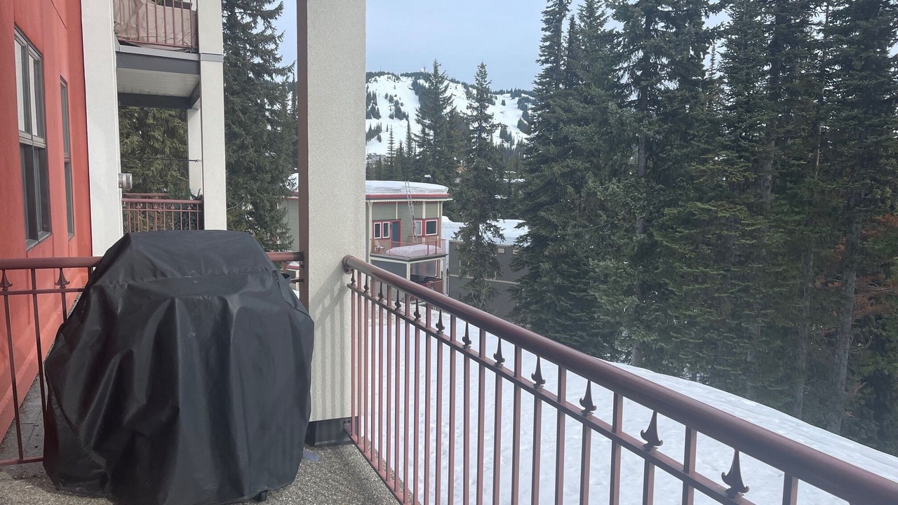 Photo of Others in Silver Star Mountain