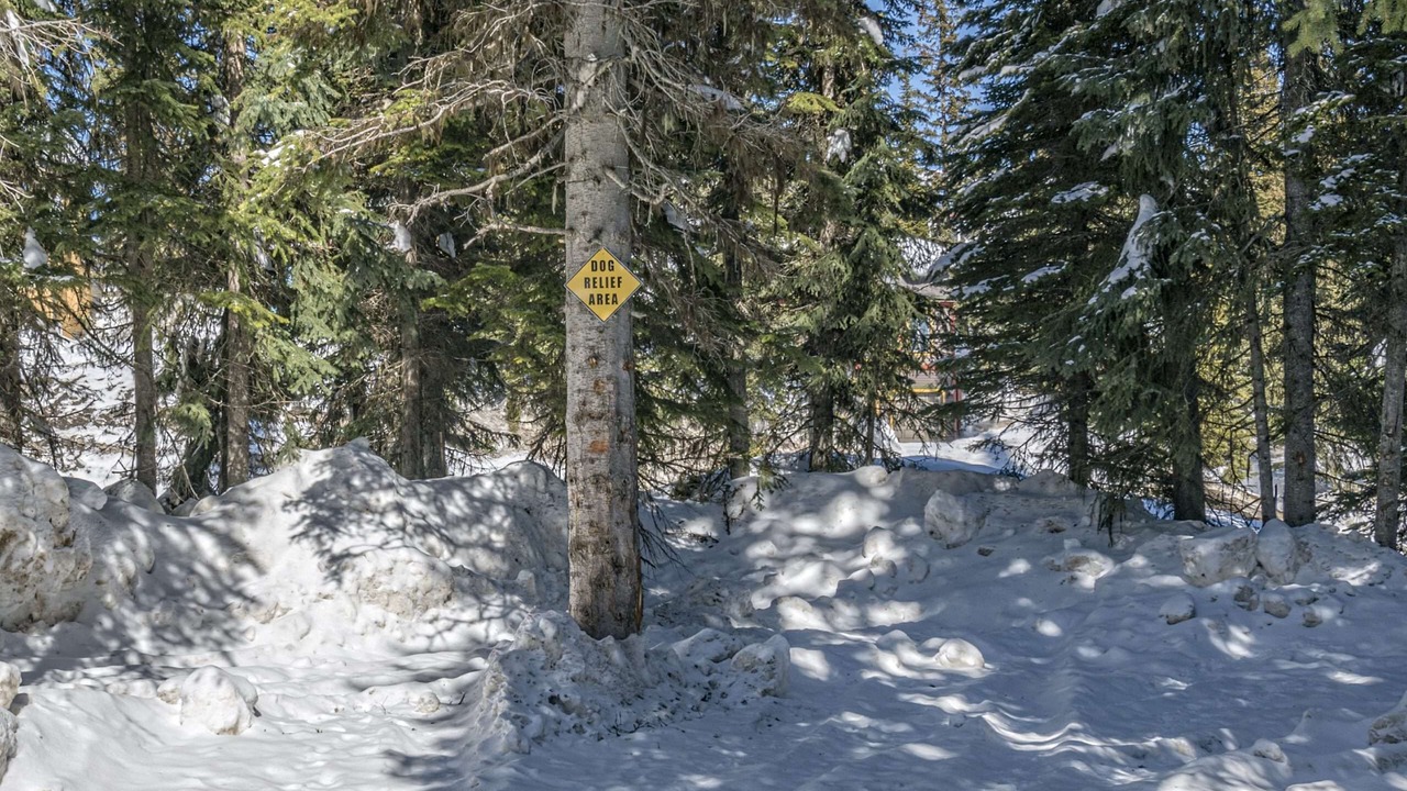 Photo of Others in Silver Star Mountain