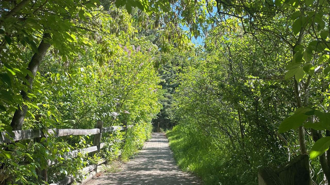 Photo of Others in Southwest Calgary
