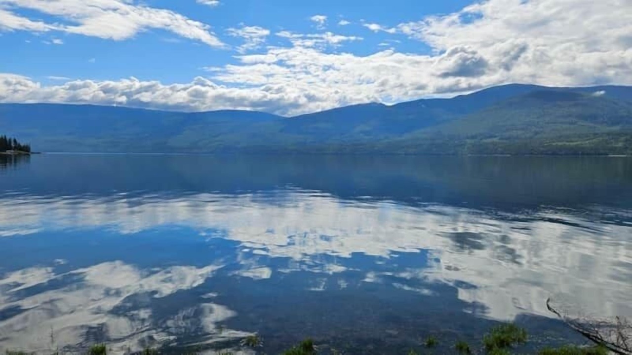 Photo of Others in Adams Lake