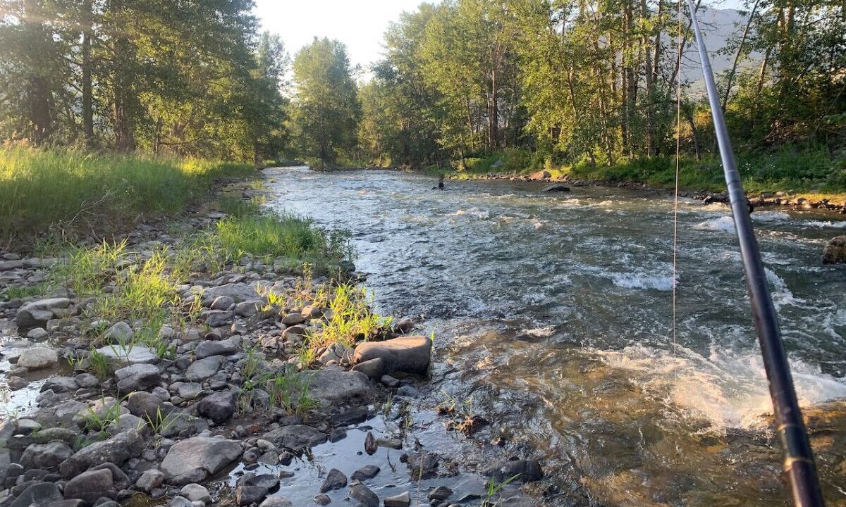 Photo of Others in Blairmore