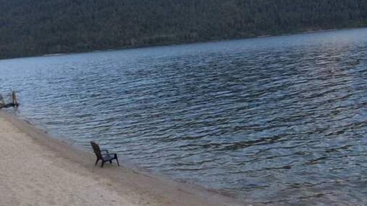 Photo of Others in Nelson