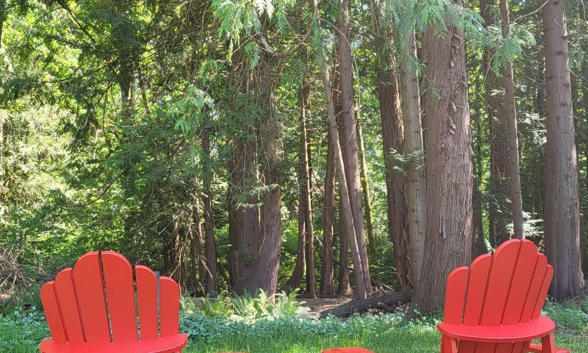 Photo of Outdoor in Saanich