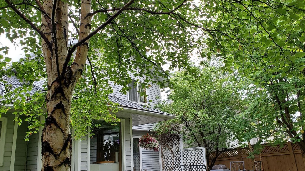Photo of Outdoor in Southwest Calgary