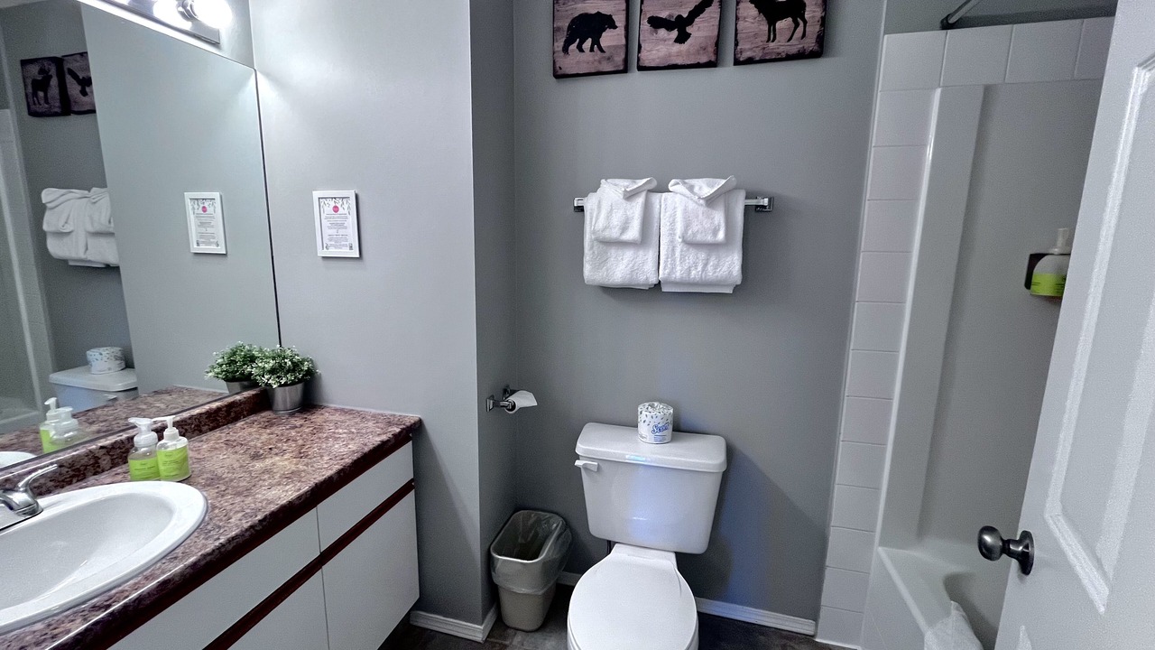 Photo of Bathroom in Canmore