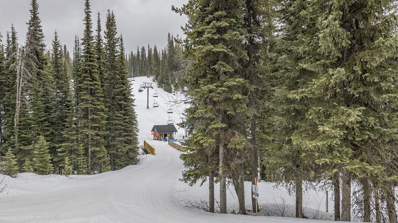 Photo of Others in Silver Star Mountain