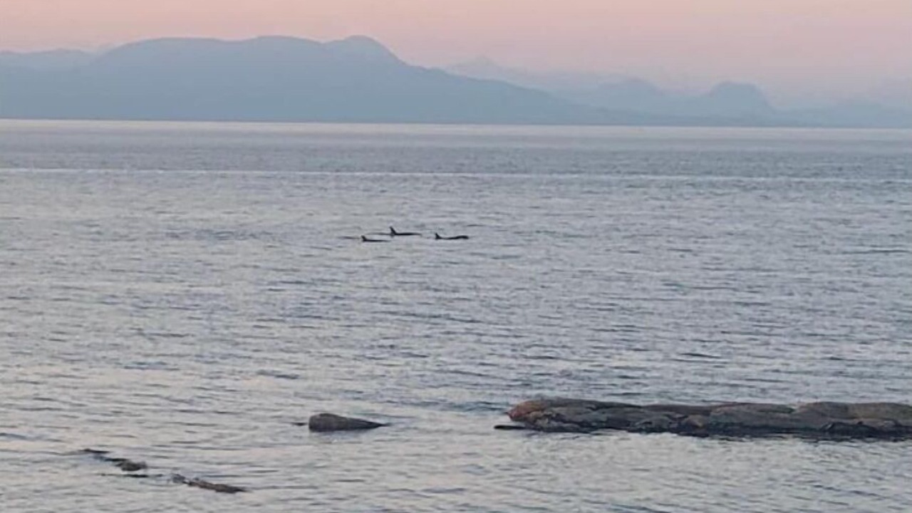 Photo of Others in Regional District of Nanaimo