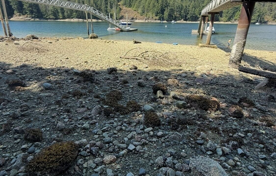 Photo of Others in District of North Vancouver