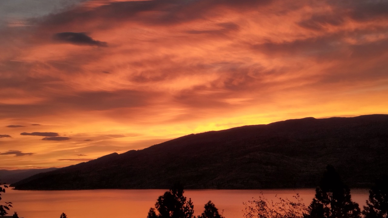 Photo of Others in Central Okanagan