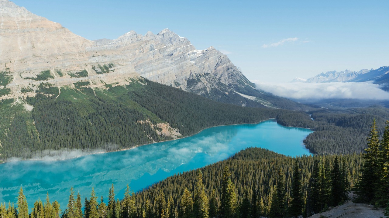 Photo of Others in Banff