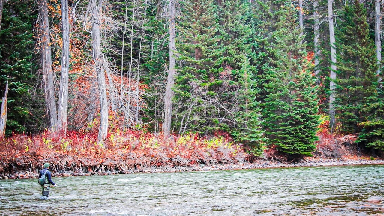 Photo of Others in Telkwa