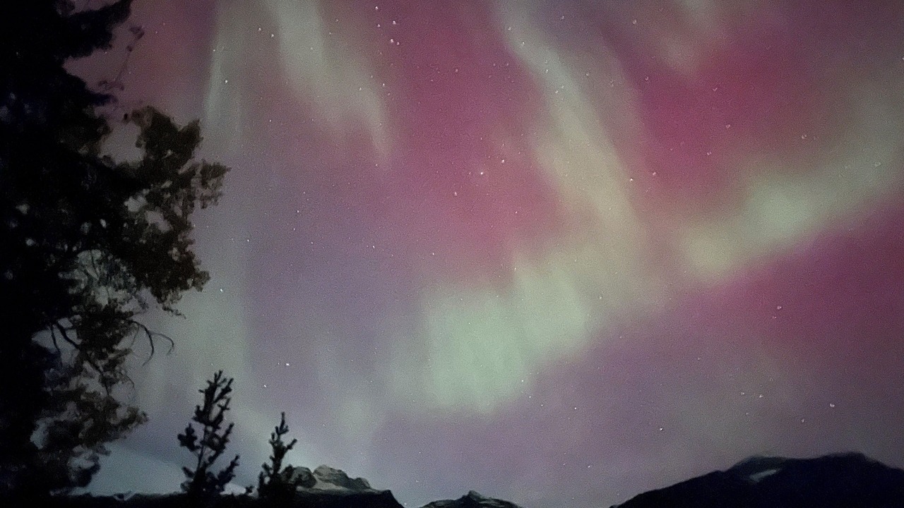 Photo of Others in Revelstoke