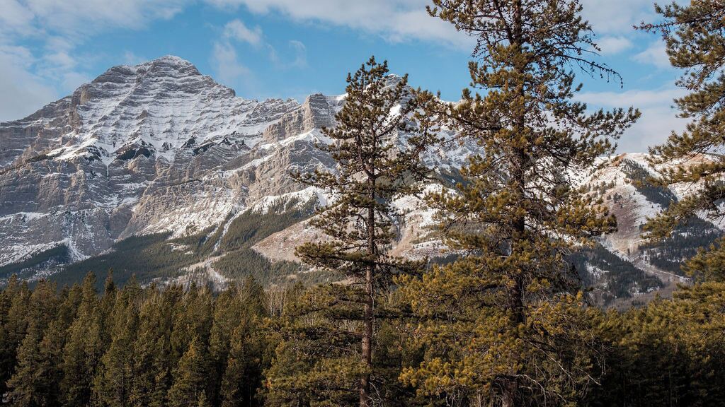 Photo of Outdoor in Kananaskis