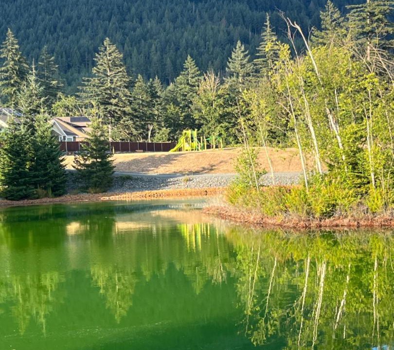 Photo of Others in Agassiz