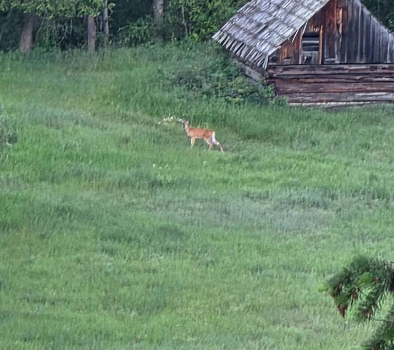 Photo of Others in Kootenay Boundary