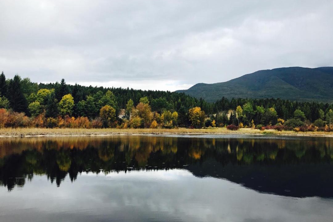 Photo of Others in East Kootenay
