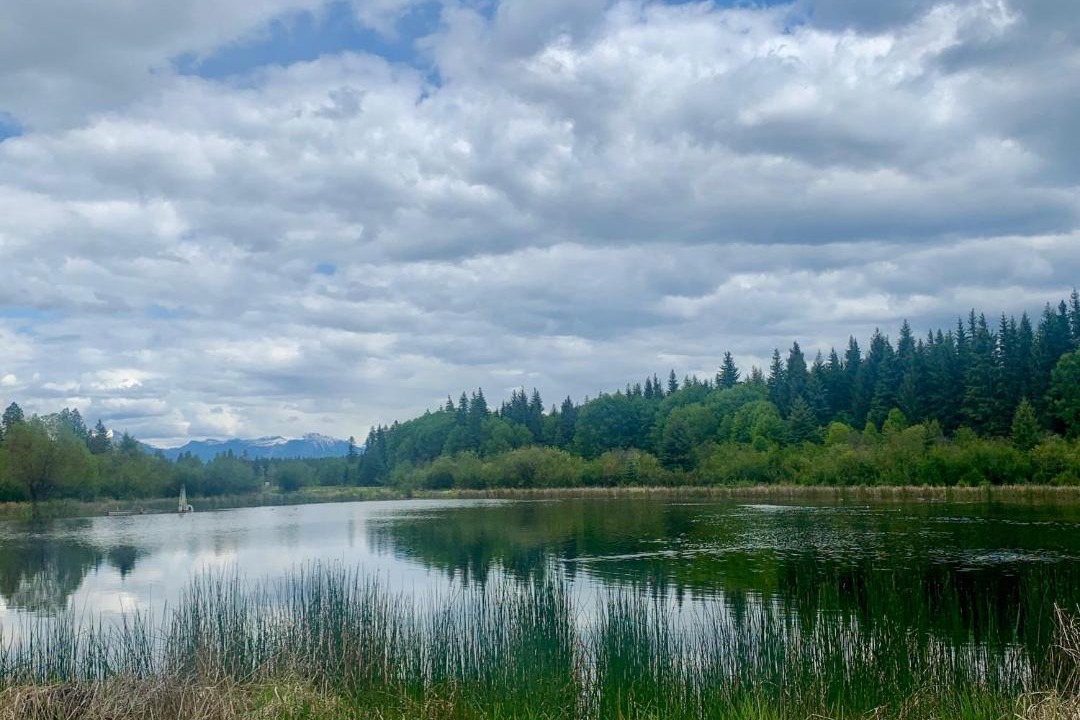 Photo of Others in East Kootenay