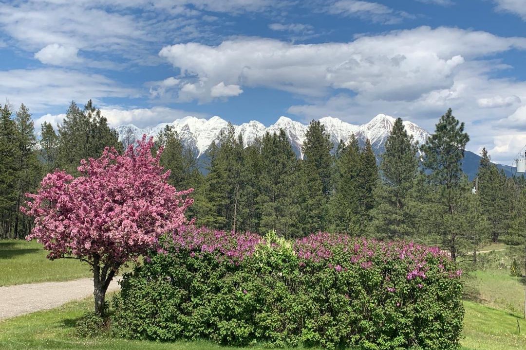 Photo of Others in East Kootenay