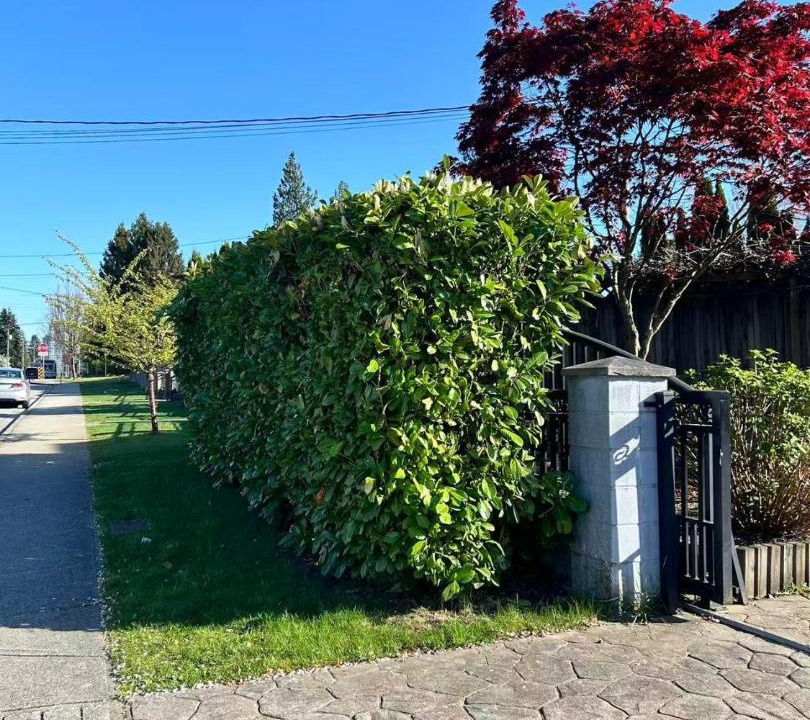 Photo of Others in Burnaby