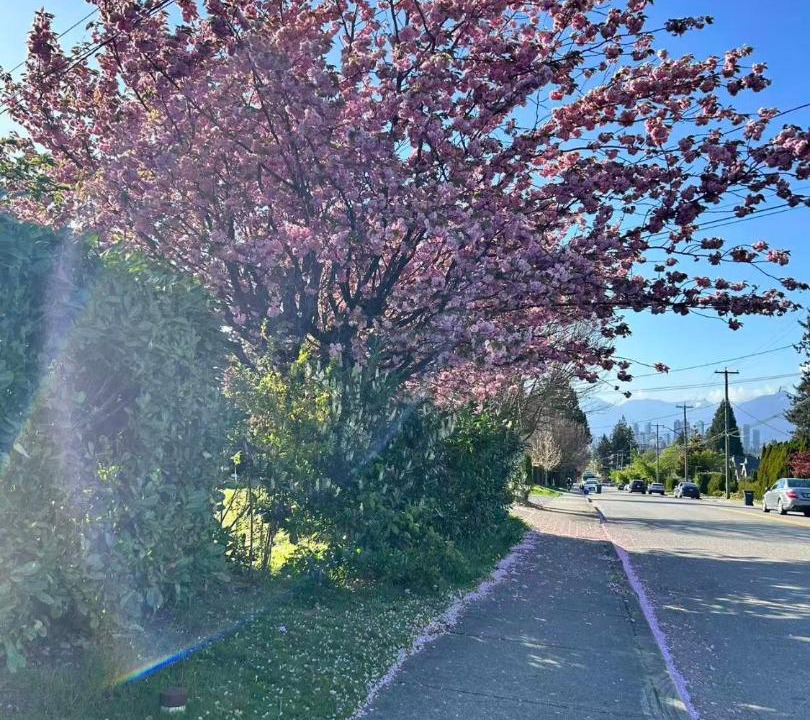Photo of Others in Burnaby
