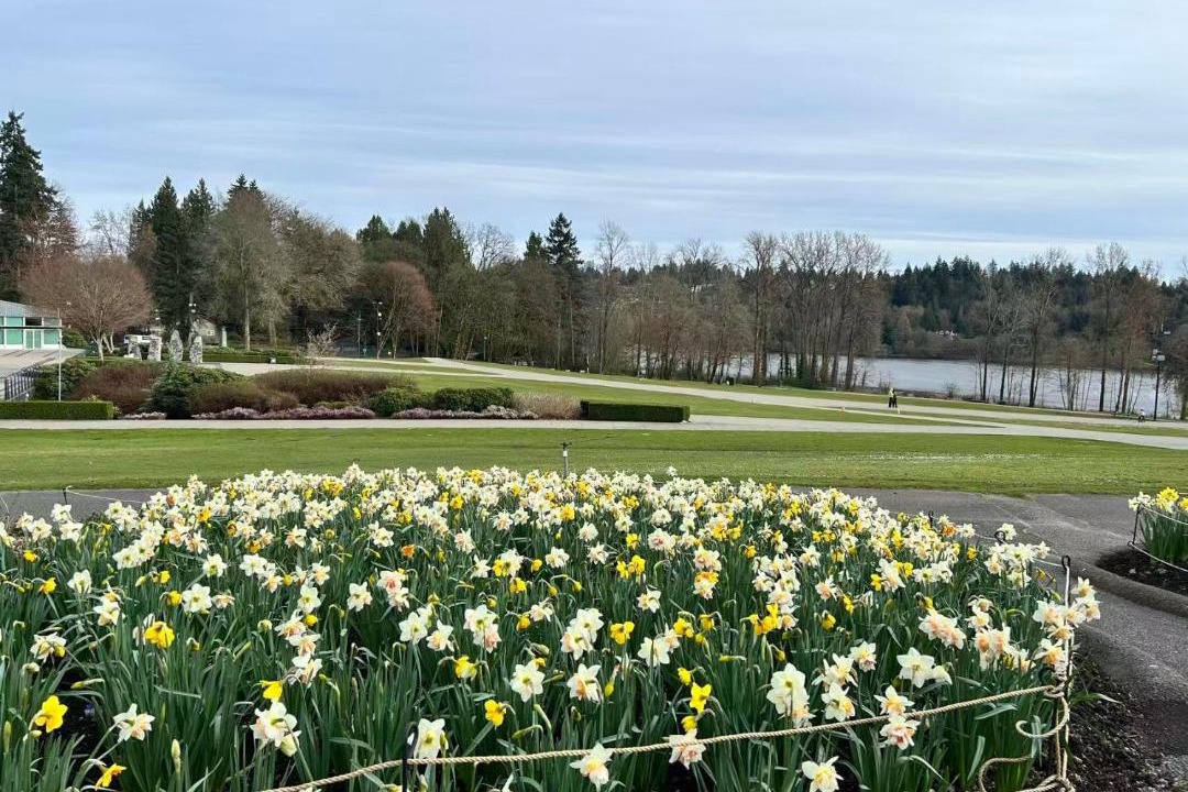 Photo of Others in Burnaby