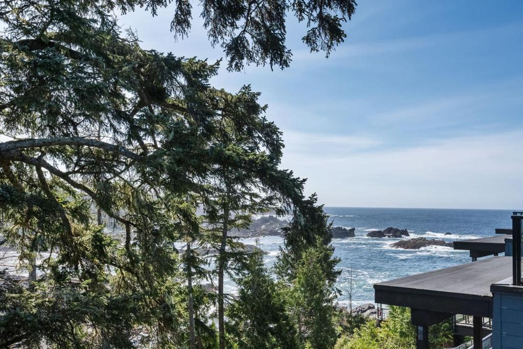 Photo of Others in Ucluelet