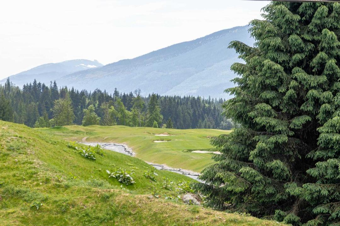 Photo of Others in Revelstoke