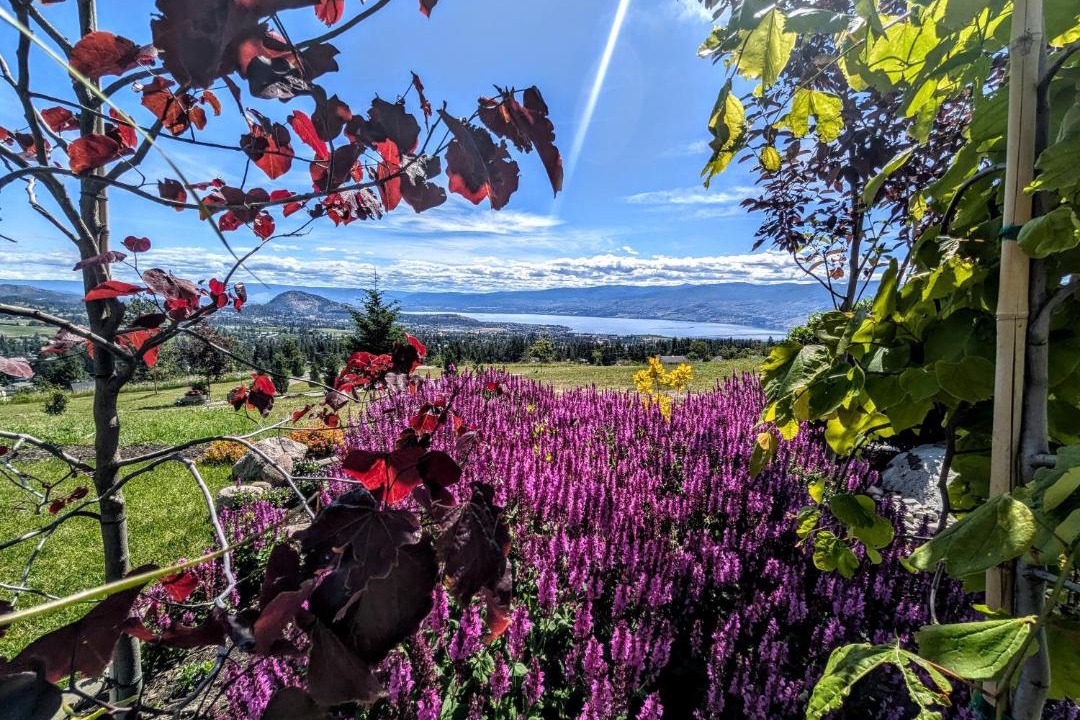 Photo of Others in Central Okanagan