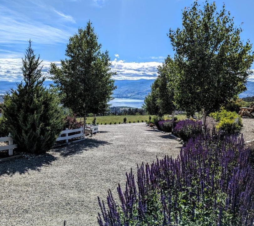 Photo of Others in Central Okanagan