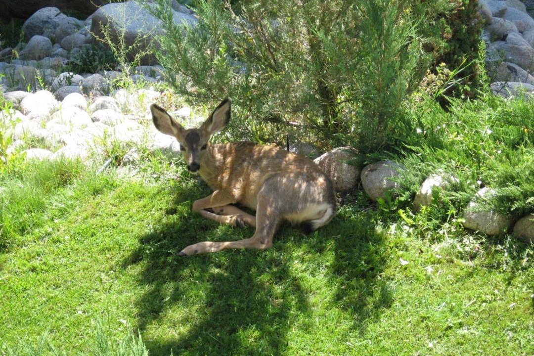 Photo of Others in Central Okanagan