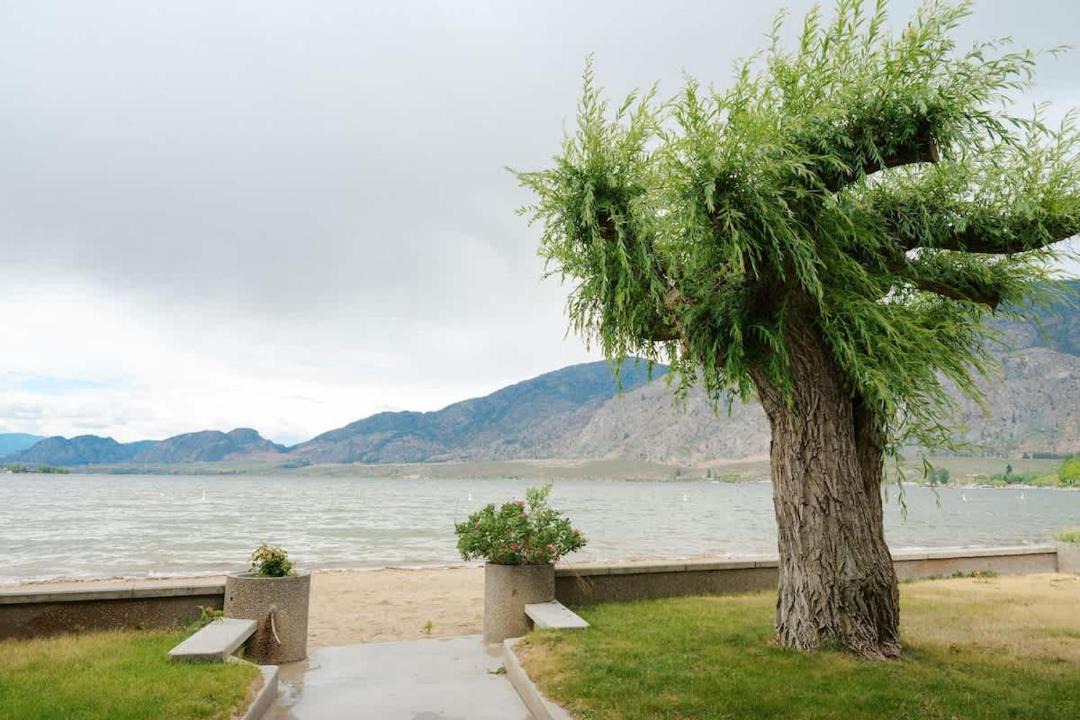 Photo of Others in Okanagan-Similkameen
