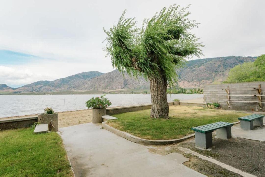Photo of Others in Okanagan-Similkameen
